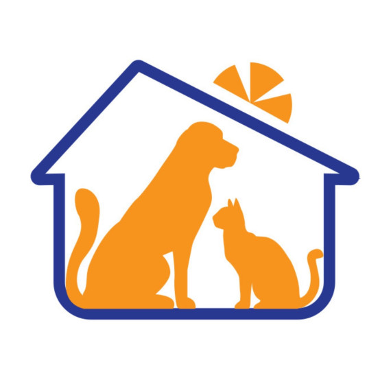https://yandex.ru/images/search?from=tabbar&img_url=https%3A%2F%2Ftop-fon.com%2Fuploads%2Fposts%2F2023-01%2F1674628680_top-fon-com-p-bezdomnie-zhivotnie-fon-dlya-prezentatsii-15.jpg&lr=195&pos=1&rpt=simage&text=%D0%BF%D1%80%D0%B8%D1%8E%D1%82%20%D0%B4%D0%B.